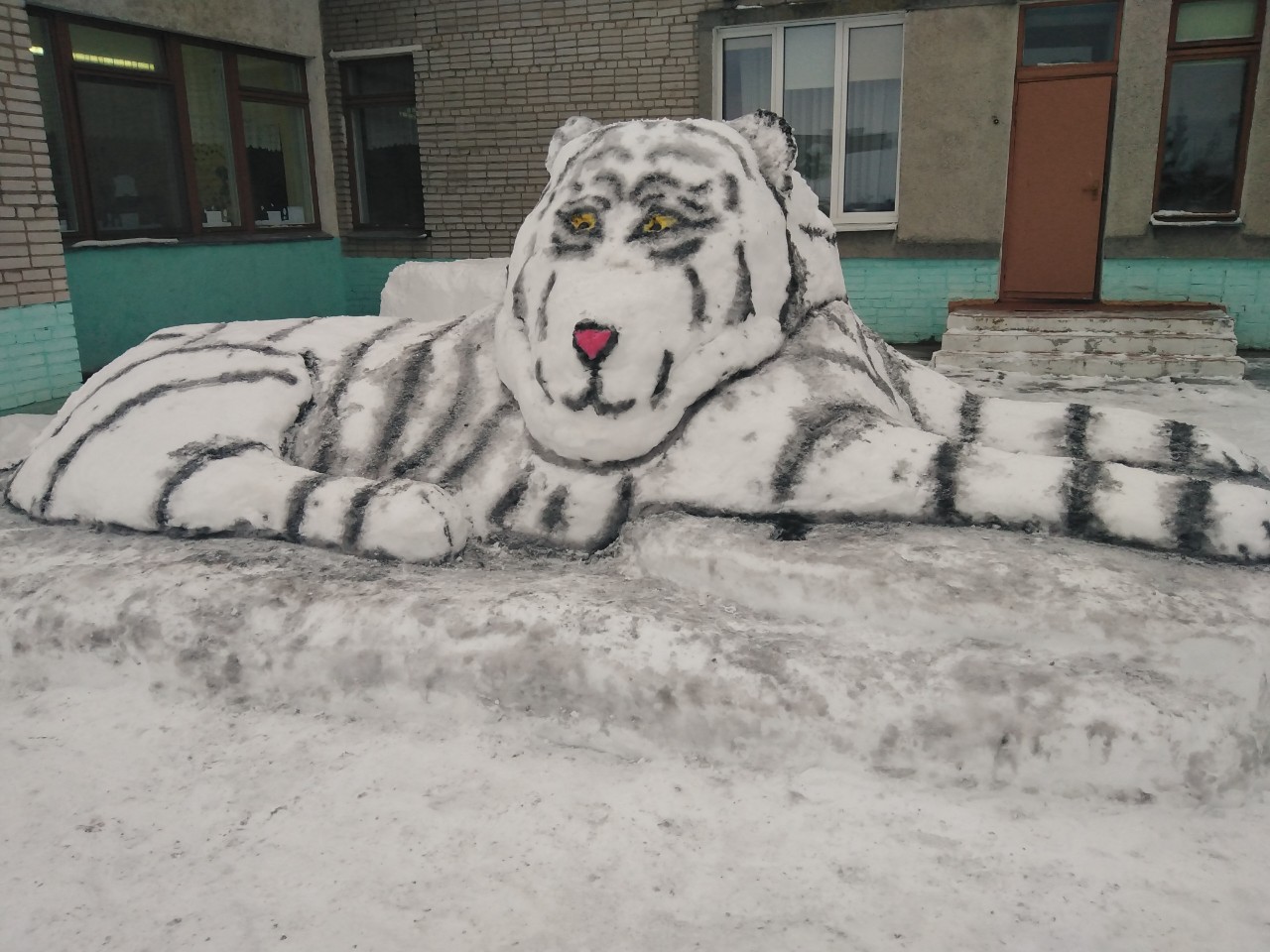 Снег слепить тигра с Салми руками